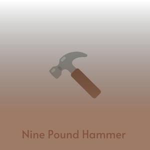 Nine Pound Hammer