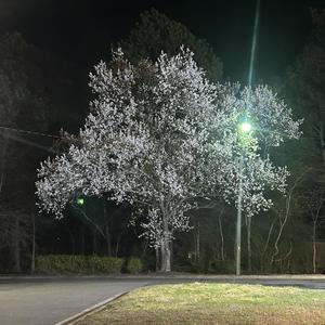 friends story (Explicit)