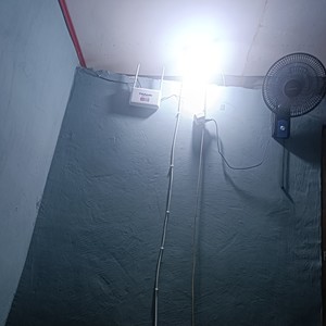 Walau habis terang