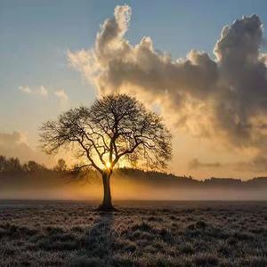 原调音乐 - 佛门清净