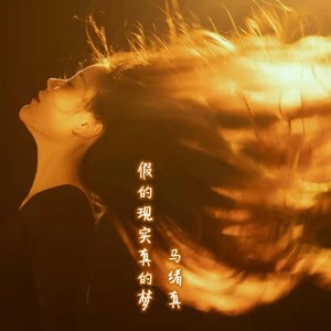 假的现实真的梦（burning中文版）