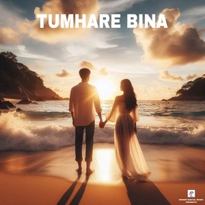 Tumhare Bina (From " Humsafar ")