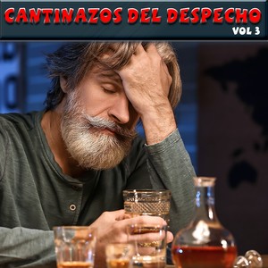 Cantinazos Del Despecho, Vol.3