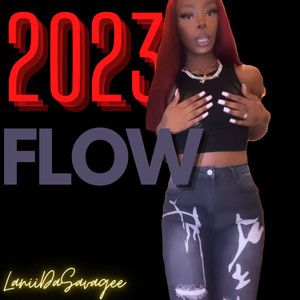 2023 Flow (Explicit)