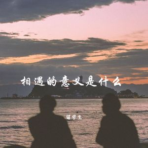 没有人可以回到过去-留学生