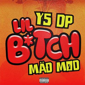 Lil ***** (feat. Y5 DP) (Explicit)