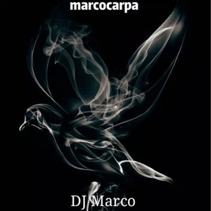 Marcocarpa