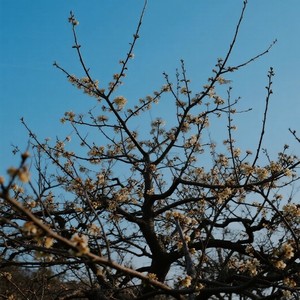 这就是爱 (R&B氛围版)封面