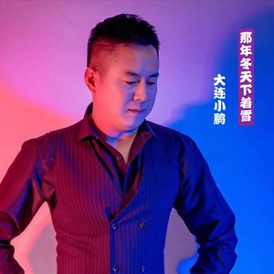 那年冬天下着雪