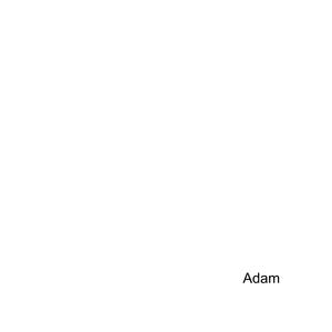 Adam - so damn beautiful (Explicit)
