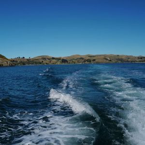 我更喜欢多年前的自己（大爱仙尊）