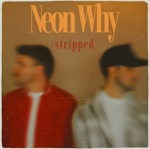 Neon Why (Stripped)