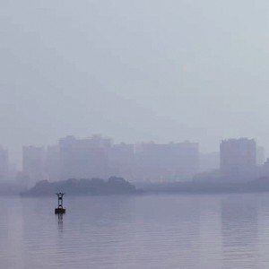 无边的思忆 (Live)封面