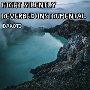 Fight Silently (Reverbed Instrumental)