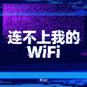 连不上我的Wi-Fi