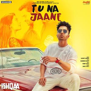 Tu Na Jaane (From "Ishqaa") - Single