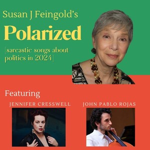 Polarized (sarcastic songs about politics in 2024)