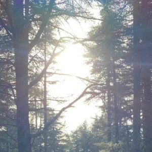 All day long it's the same