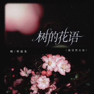 皓 - 树的花语 (藏语男女版)