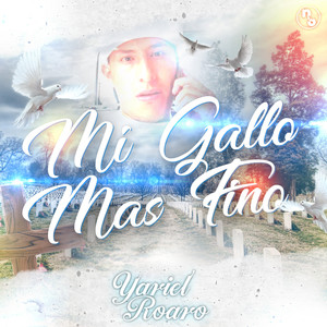 Mi Gallo Mas Fino