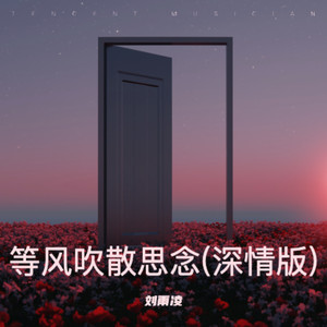 等风吹散思念 (深情版)封面