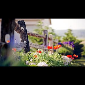 思念是一种病Remix