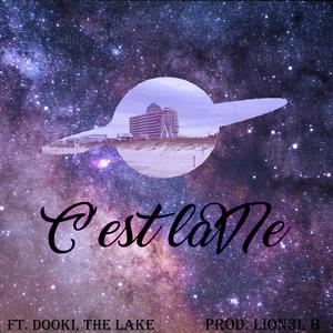 C'est la vie (feat. d00ki the lake & LION3L B) (Explicit)