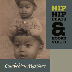 Hip Hop Beats & Hooks. Vol. 8