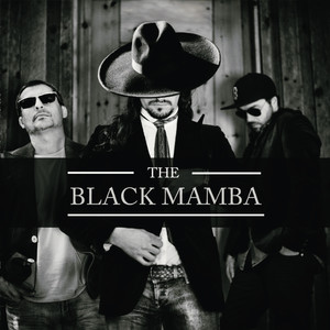 The Black Mamba - Good Times