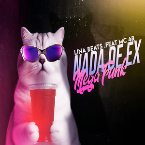 MEGA FUNK NADA DE EX (Explicit)