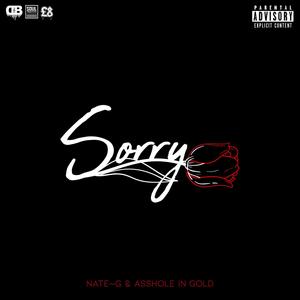 Sorry (feat. *** In Gold) [Explicit]