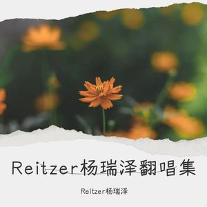孤独的总和