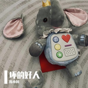坏的好人封面