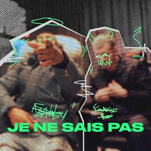 JE NE SAIS PAS (feat. Francuz Mordo) [Explicit]