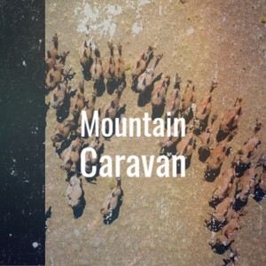 Mountain Caravan