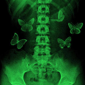 watch yo back (feat. gooli & takeyogat)