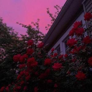 Past Tense (feat. J THE KID & Neva Lack) (Explicit)