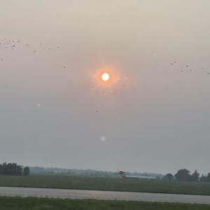 Whack It (Remix|Explicit)