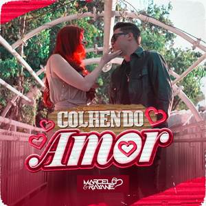 Colhendo Amor