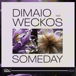 DiMaio - Someday