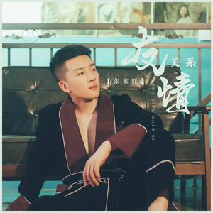 友情关系 (DJ阿卓版)封面