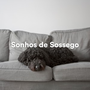 Música de Cachorro Calmante - Canción de la Calma (Música Relaxante para Meditação e Sono)