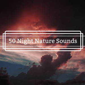 50 Night Nature Sounds - Personal Transformation Sound to Awaken Mind