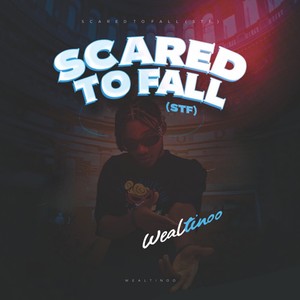 Scared to Fall (Stf)