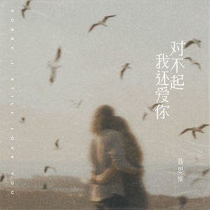 对不起，我还爱你