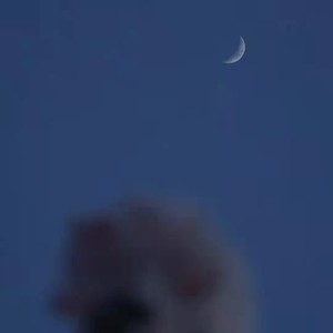 按 下 時 間 暫 停 鍵