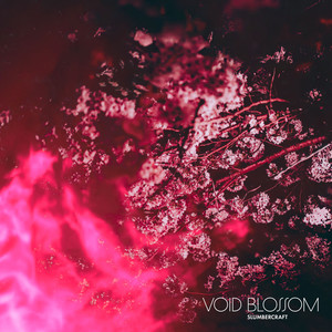 Void Blossom