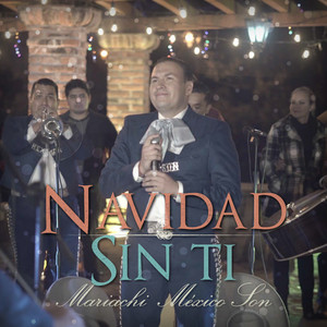 Navidad Sin Ti