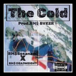 The Cold (feat. RM$ DEADWEIGHT) (Explicit)