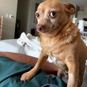 CHANCE (Sped Up) (Explicit)